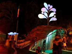 whale dreaming 2010 - night